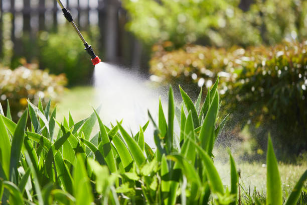 24/7 Emergency Mosquito Control experts in East Canton, OH