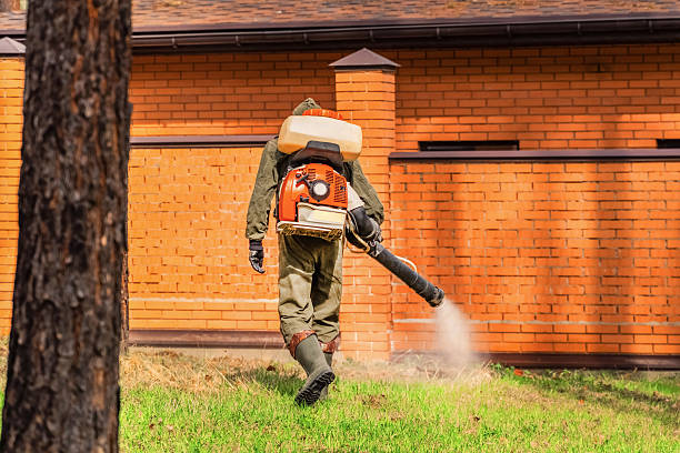 Top rated local Mosquito Control specialists in East Canton, OH